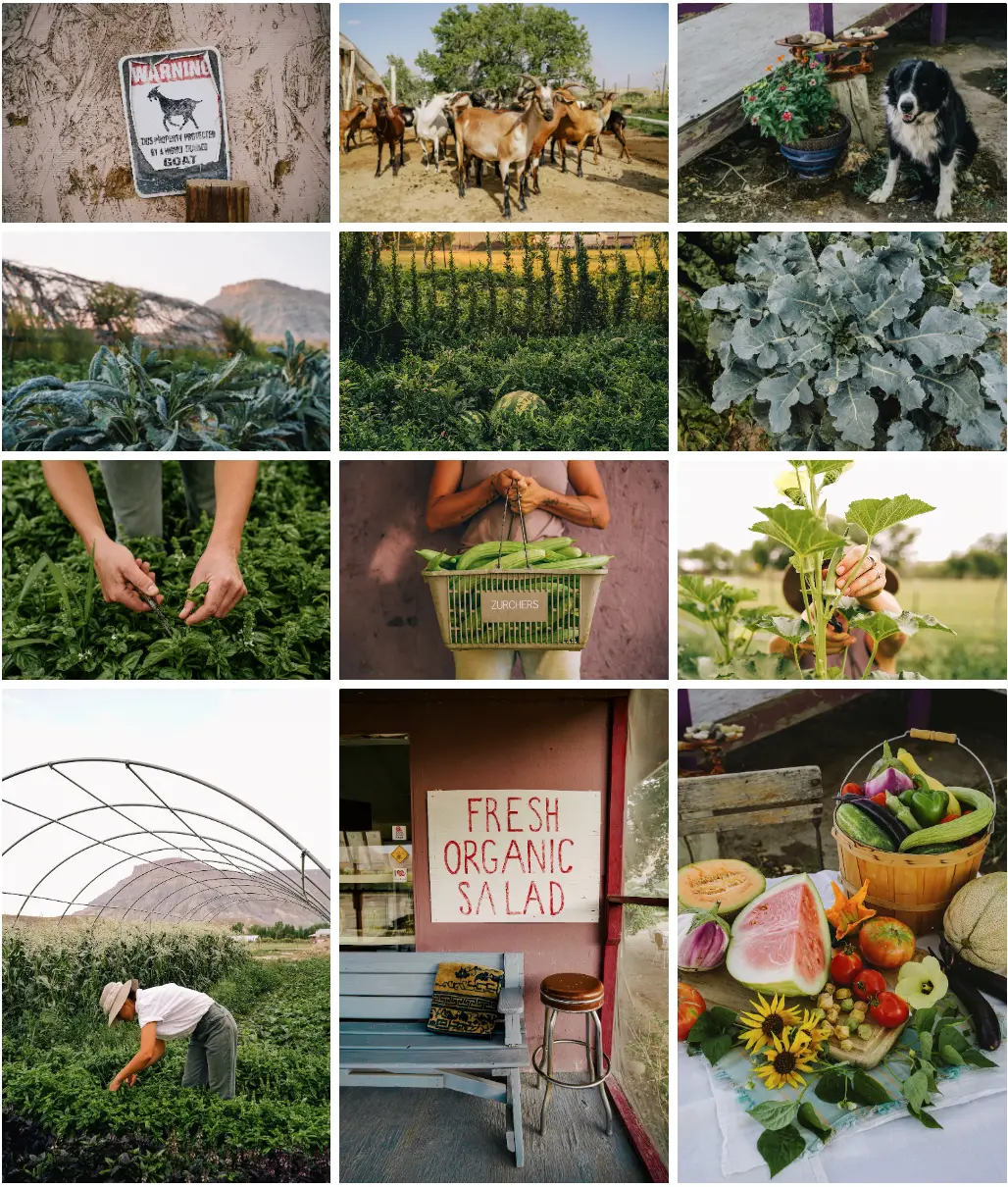 Mesa Farms Danielle Vilaplana Photos