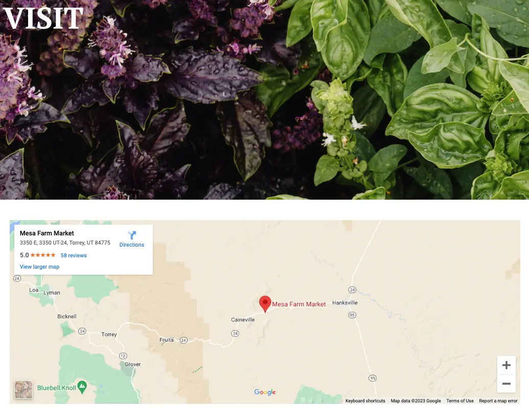 Mesa Farms Google integration